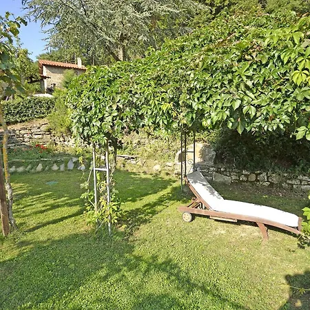 Magnolia Willa Cortona