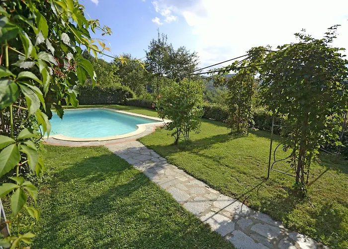Magnolia Cortona